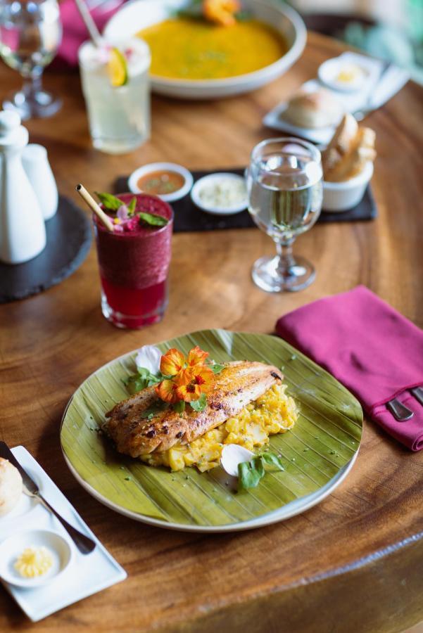 Trogon Lodge San Gerardo de Dota Eksteriør bilde