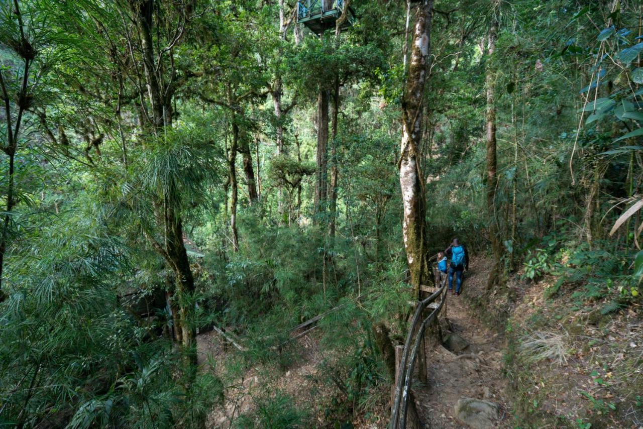 Trogon Lodge San Gerardo de Dota Eksteriør bilde