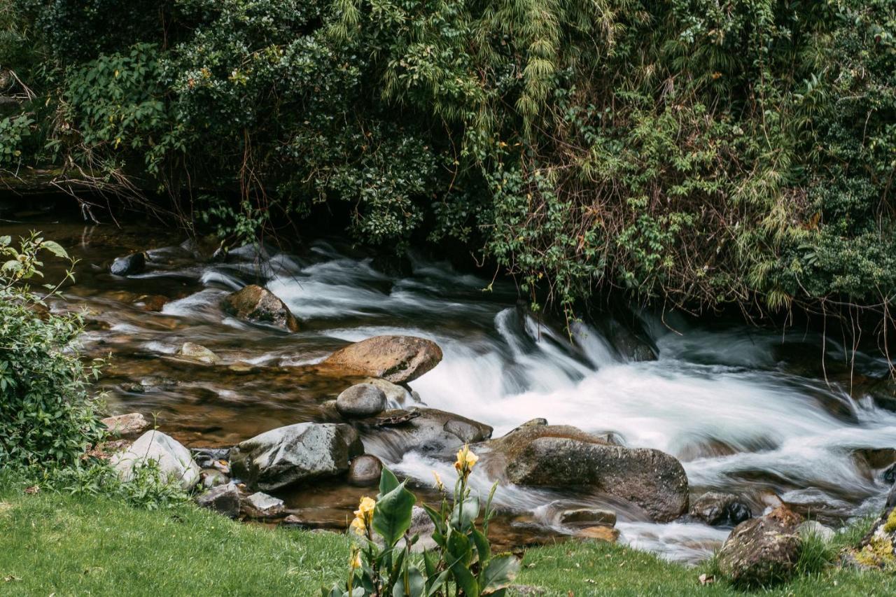 Trogon Lodge San Gerardo de Dota Eksteriør bilde