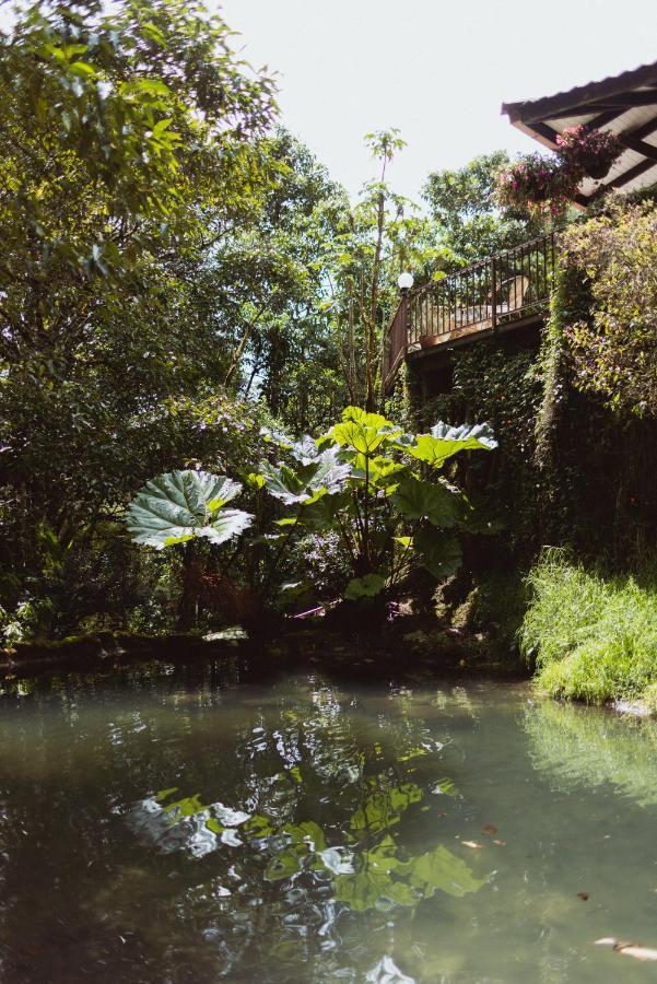 Trogon Lodge San Gerardo de Dota Eksteriør bilde