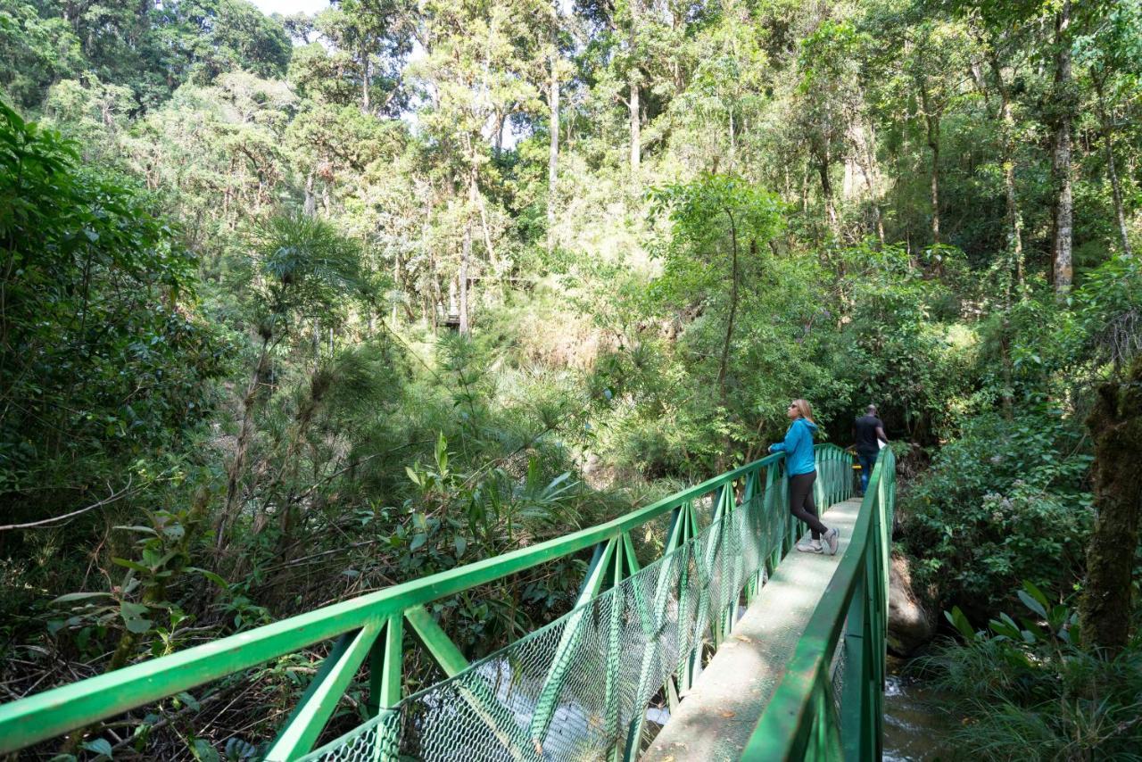 Trogon Lodge San Gerardo de Dota Eksteriør bilde