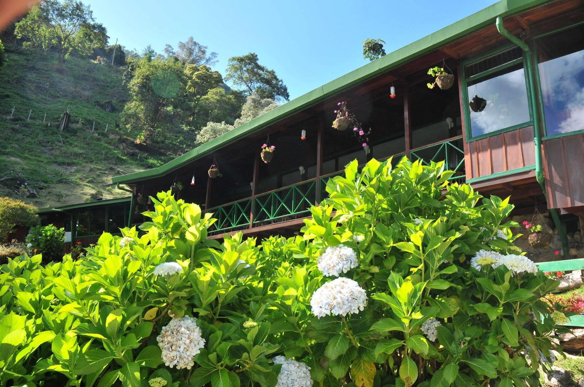 Trogon Lodge San Gerardo de Dota Eksteriør bilde